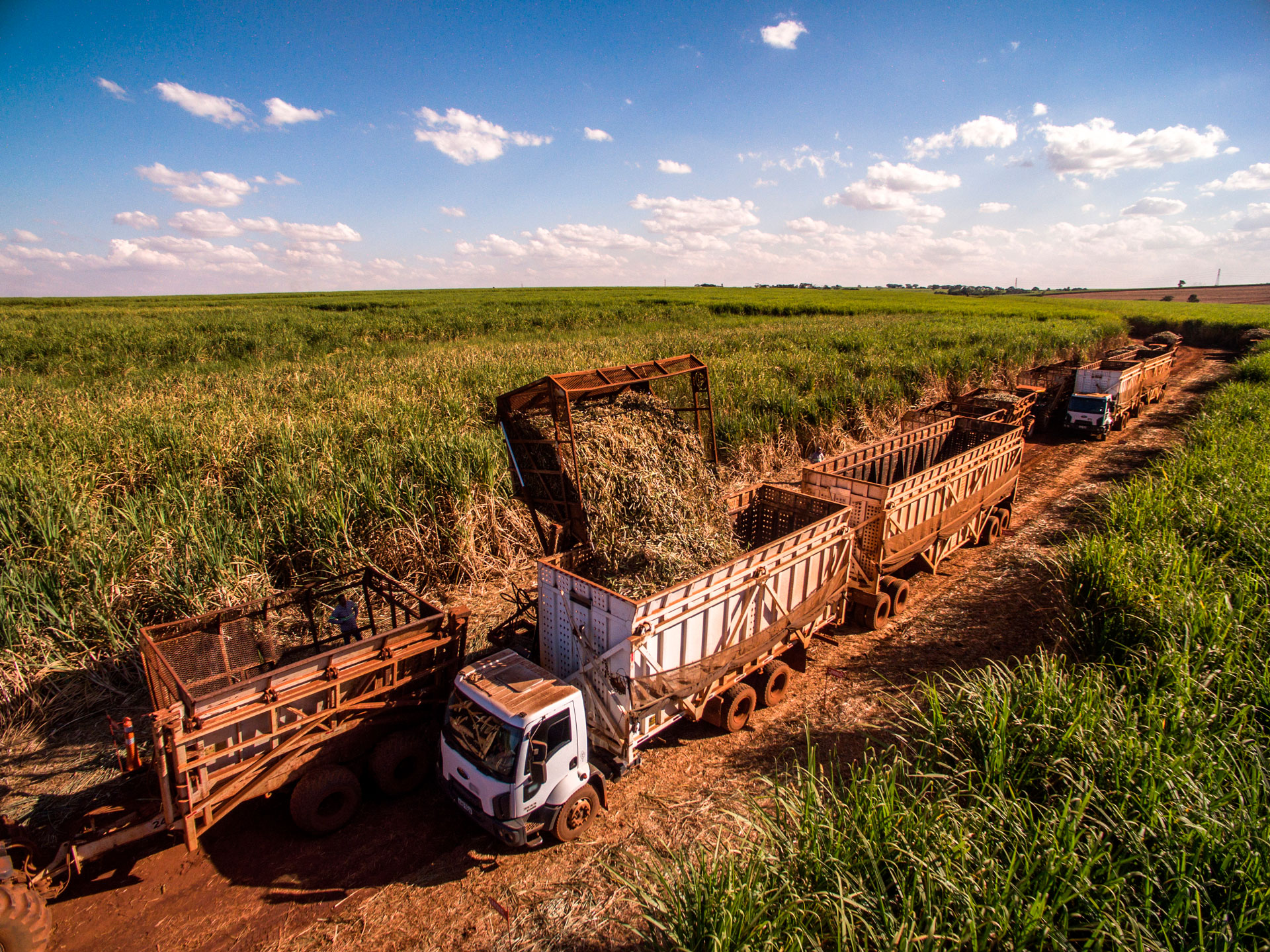 Transporte agropecuário